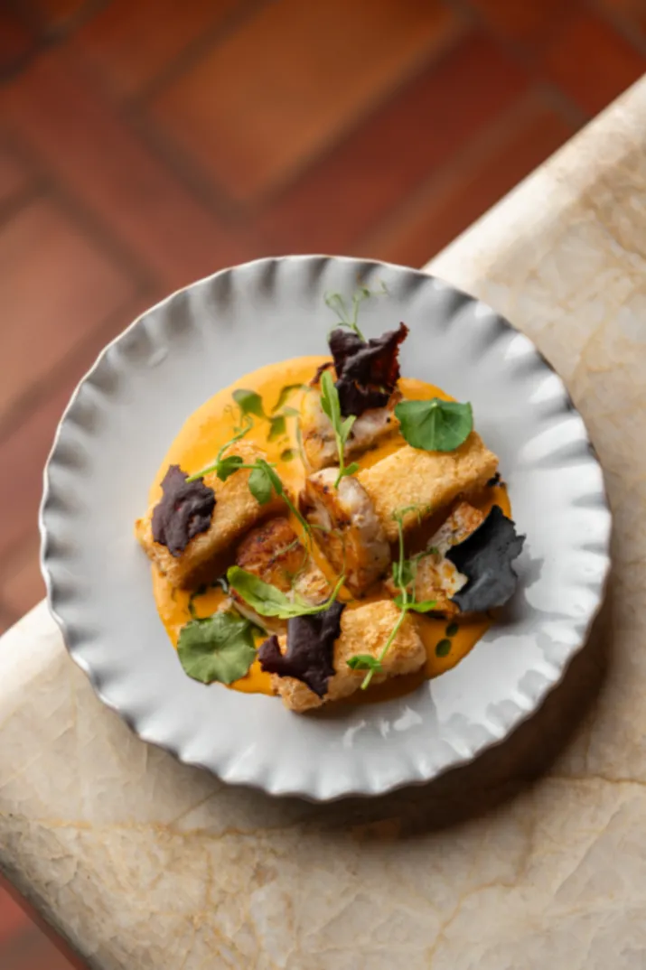 POISSON | TAPIOCA 🇧🇷🇮🇳