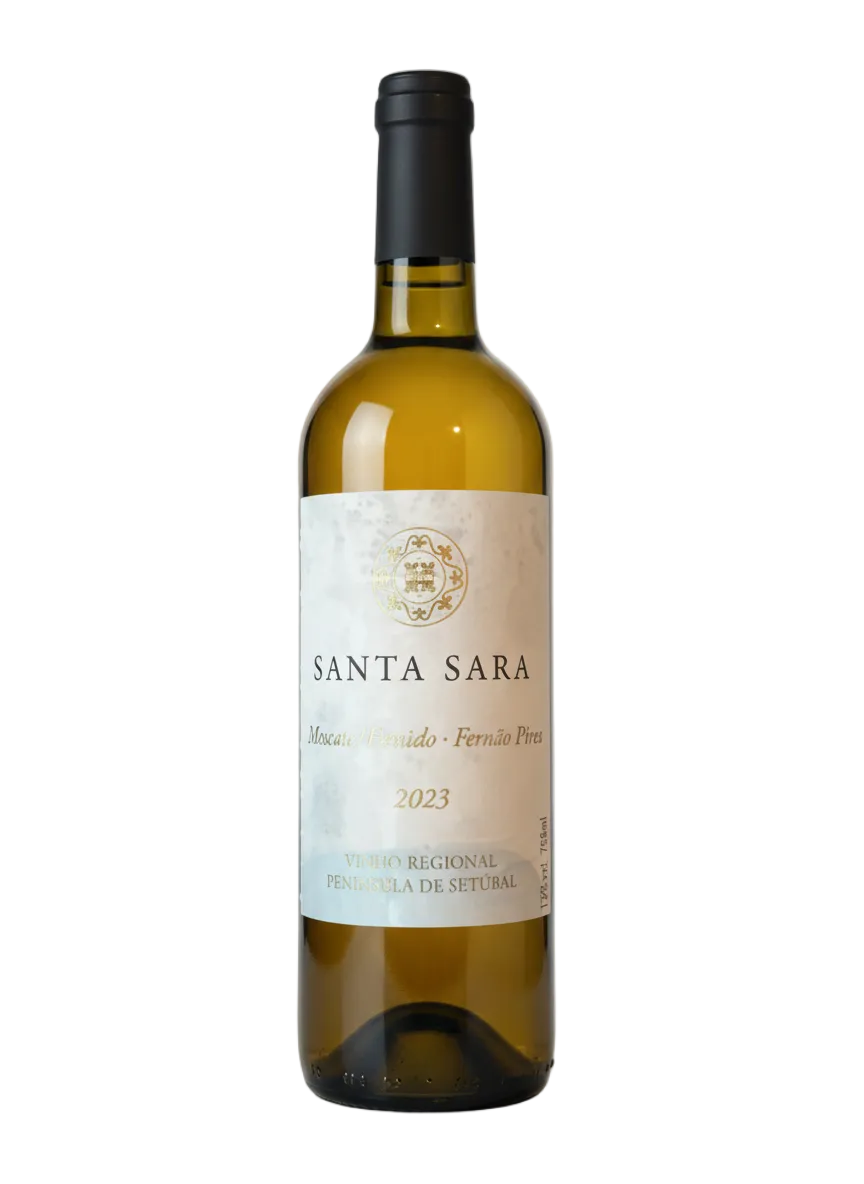 Vinho Branco