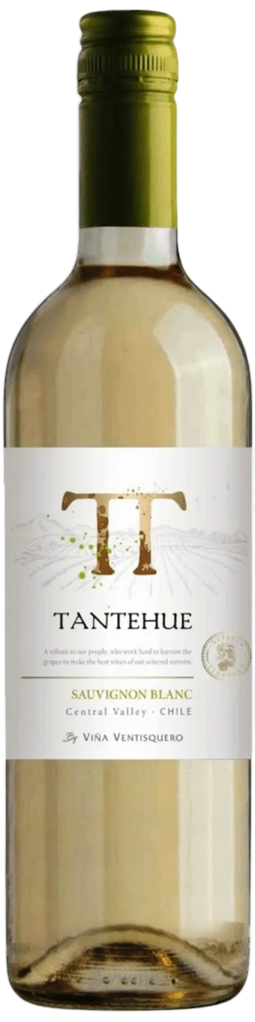 Tantehue Sauvignon Blanc
