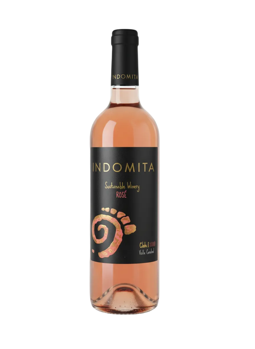 Sustainable Rosé